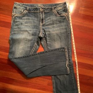 Vanity Plus Size Jeans with Embellishments